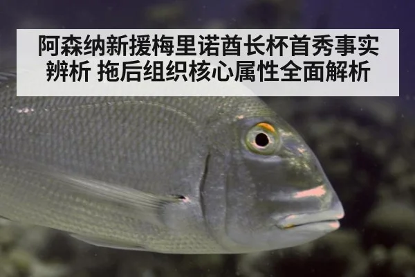 阿森纳新援梅里诺酋长杯首秀事实辨析 拖后组织核心属性全面解析
